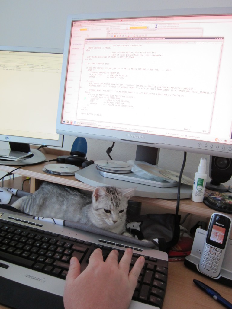 Cat Muska laying in her usual place between monitor and keyboard.